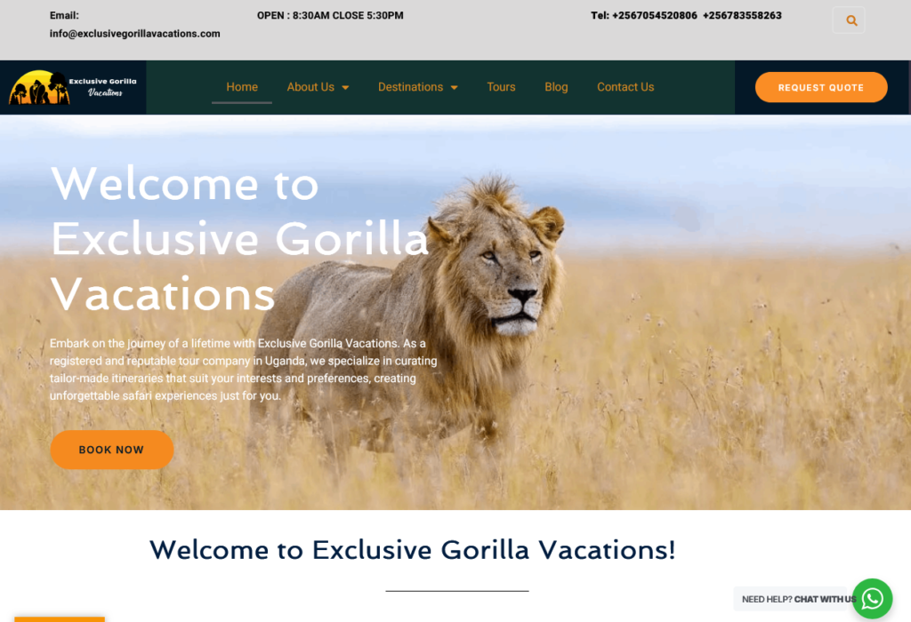 Exclusive gorilla vacations